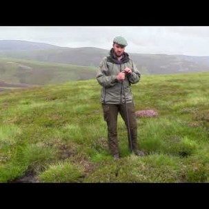 Rewetting Scotland&#039;s moors