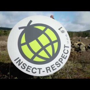 Mein gutes Beispiel 2017 - Preisträger Insect Respect (Reckhaus GmbH &amp; Co. KG)