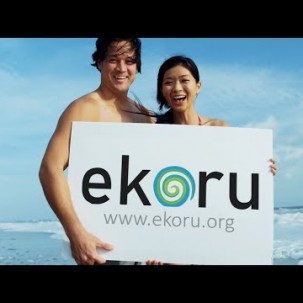 Ekoru the search engine that makes oceans clean and green