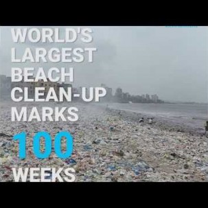 Largest Beach Clean-Up Marks 100 Weeks