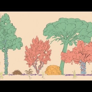 A Forest Garden With 500 Edible Plants Could Lead to a Sustainable Future | Short Film Showcase