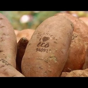 Dank Lichtstrahl: Natürliches Öko-Label für Obst und Gemüse