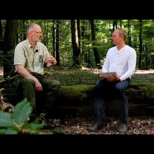 Das geheime Leben der Bäume, Peter Wohlleben, Lars Michael Storm, Beat von Stein