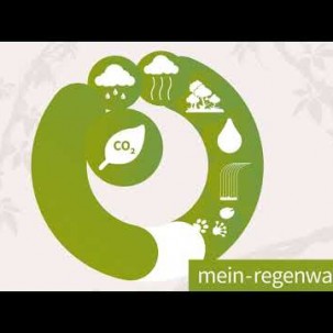 Mein Regenwald