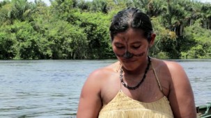 Staudammbau und Mega-Kraftwerk im Amazonas-Regenwald gestoppt