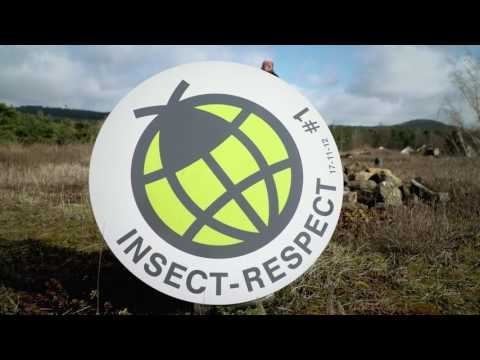 Mein gutes Beispiel 2017 - Preisträger Insect Respect (Reckhaus GmbH &amp; Co. KG)