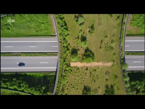 [Doku] Für Hirsch und Käfer - Wildbrücken über der A7