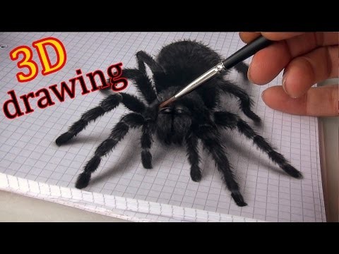 3D Spider Drawing/AMAZING realistic illusion!