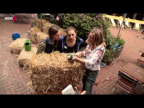 Gärtnern auf Strohballen  - WDR Servicezeit