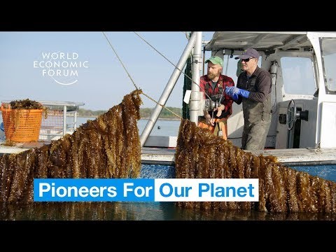 This incredible underwater farm could be the future of food | Pioneers for Our Planet