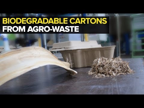 Bio-lutions - Agricultural Waste to Biodegradable Cartons &amp; Tableware